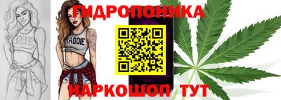 стафф Будённовск